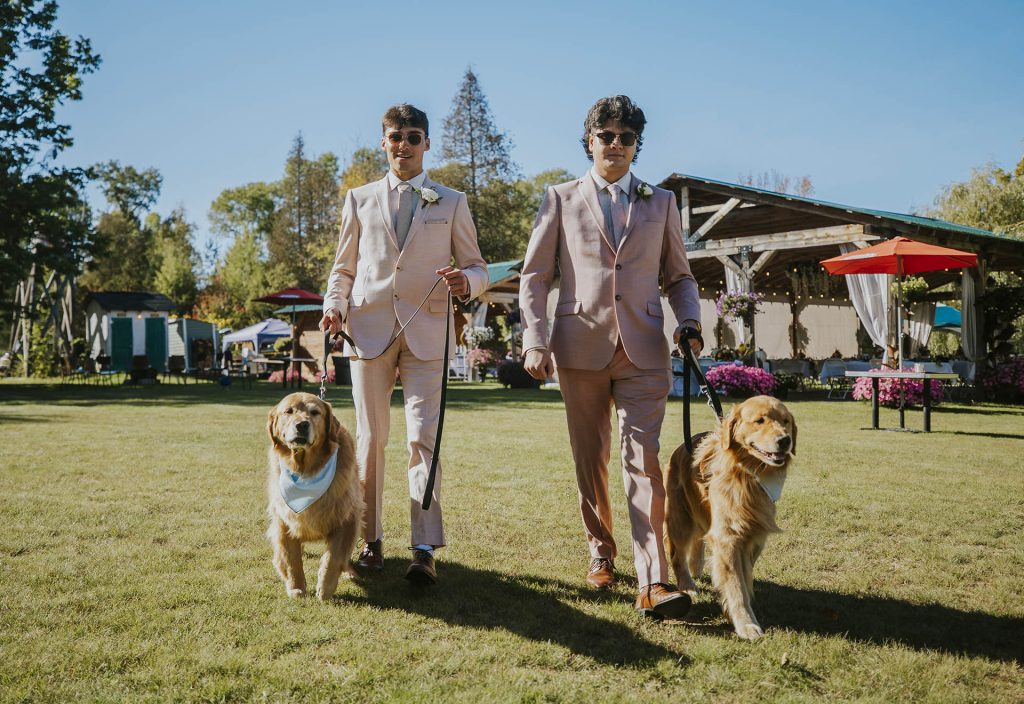 Boys walking with their dogs entering the wedding ceremony in Sudbury, Ontario